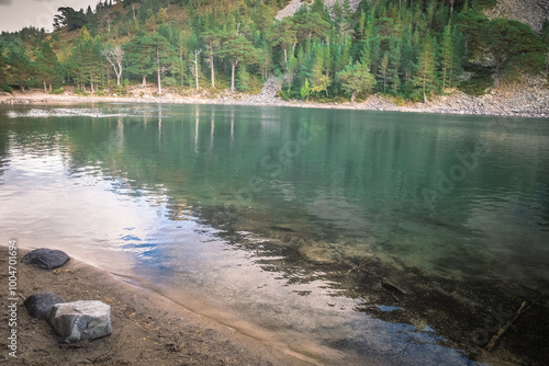 An lochan uaine in the Glenmore Forrest Park photo