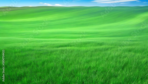 Vibrant green grasslands, clear blue sky, and natural vitality