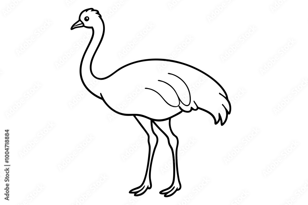 cassowary vector icon with Transparent Background Clipart cassowary vector icon with Transparent Background Clipart