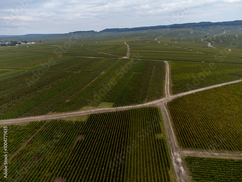 Harvest time on grand cru vineyards near Ambonnay and Bouzy, region Champagne, France. Cultivation of white chardonnay and black pinot noir wine grapes, aerial view on vineyard photo