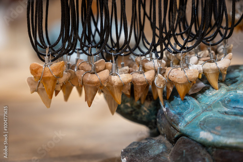 Holding fossil shark tooth necklace in shop photo