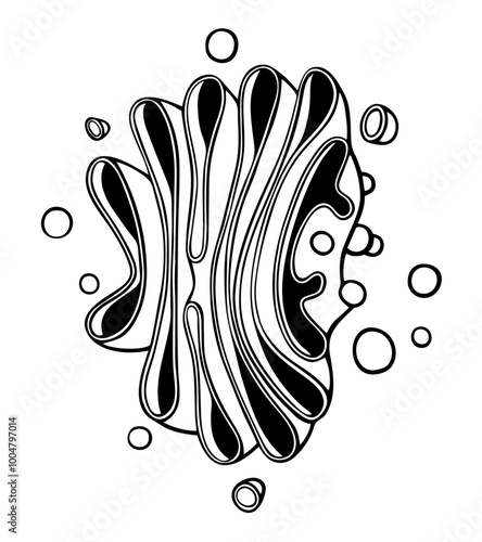 Vector line Illustration of a Golgi apparatus structure. Doodle style
