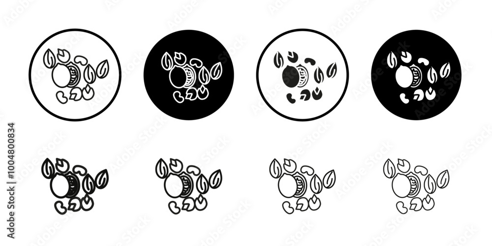Dry fruit icon Collection of flat thin outline vector Dry fruit icon Collection of flat thin outline vector