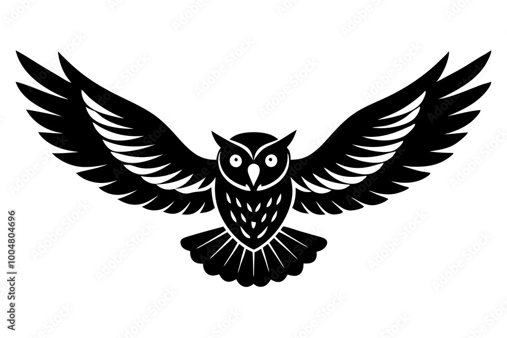 Obraz premium eagle and wings