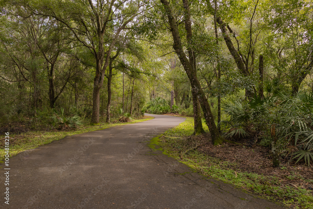 The trail sits in between the shadow of the autumn foliage at the New Tampa Nature Park an Autism Friendly Park in Hillsboro County Florida USA. This Autism friendly park has children's playground The trail sits in between the shadow of the autumn foliage at the New Tampa Nature Park an Autism Friendly Park in Hillsboro County Florida USA. This Autism friendly park has children's playground