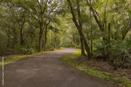 The trail sits in between the shadow of the autumn foliage at the New Tampa Nature Park an Autism Friendly Park in Hillsboro County Florida USA. This Autism friendly park has children's playground