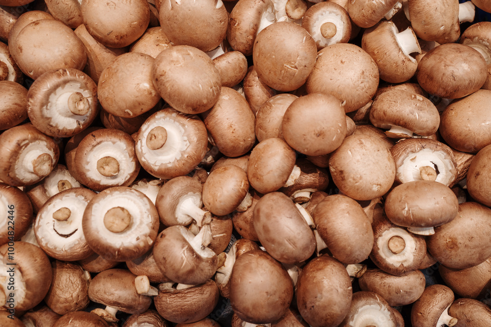 A close-up view of numerous fresh brown mushrooms, showcasing their smooth caps and earthy tones. A close-up view of numerous fresh brown mushrooms, showcasing their smooth caps and earthy tones.