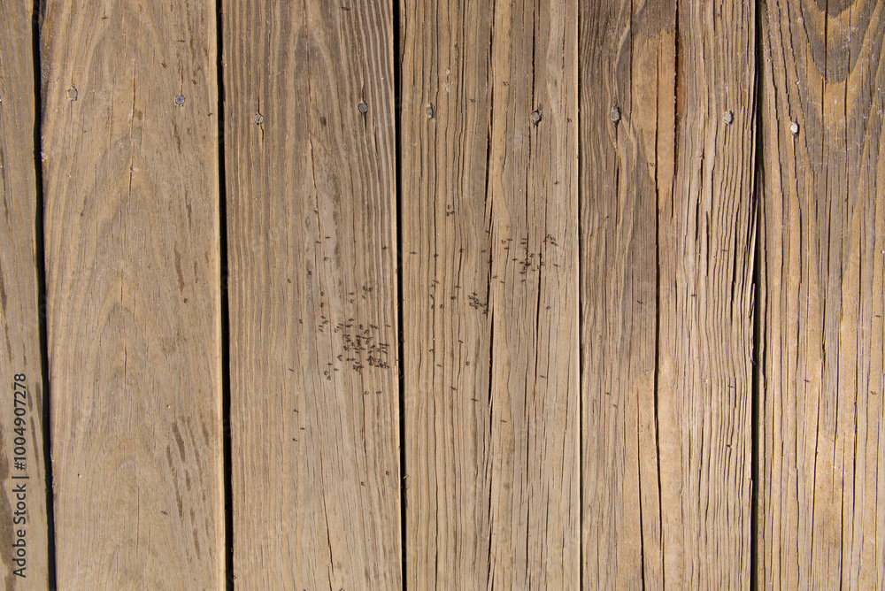 A close-up of natural wooden planks with visible grain, small nails, and tiny beach ants scattered across the surface. Ideal for nature, texture, or design projects. A close-up of natural wooden planks with visible grain, small nails, and tiny beach ants scattered across the surface. Ideal for nature, texture, or design projects.