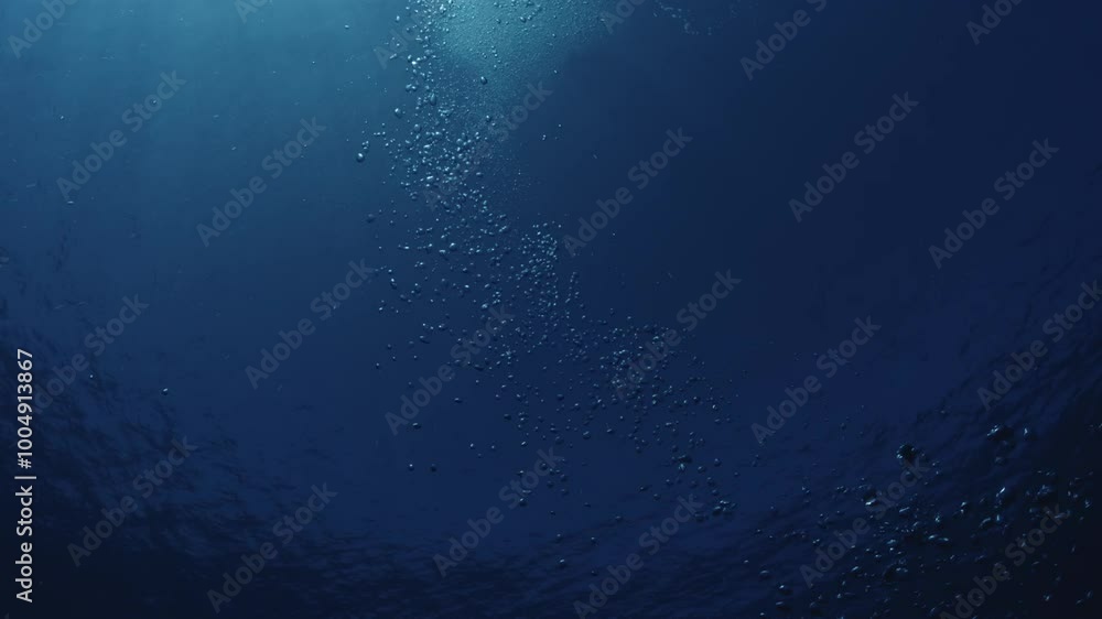 An upward shot of bubbles rising through the blue ocean, heading towards the surface, creating a serene and mesmerizing underwater scene. Check my portfolio for more ocean footage. An upward shot of bubbles rising through the blue ocean, heading towards the surface, creating a serene and mesmerizing underwater scene. Check my portfolio for more ocean footage.