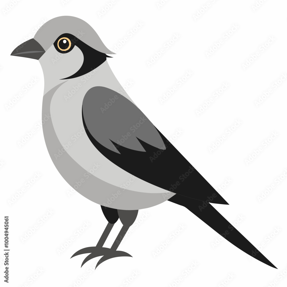 Fototapeta premium Beauty of Gray Jay High-Quality Vector Illustration