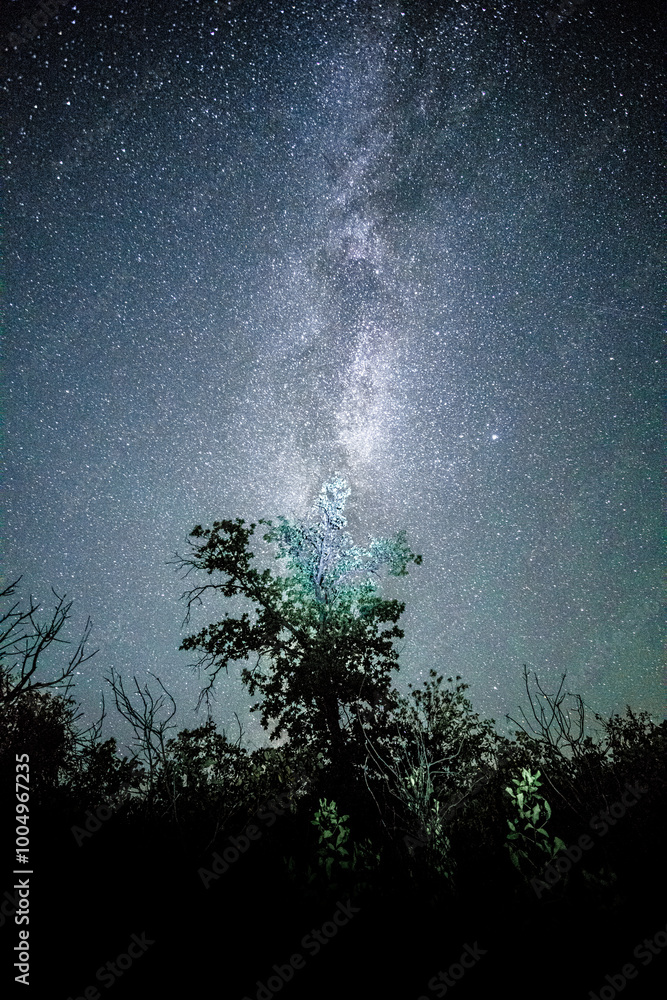 Space with galaxy . Milky way on the blue sky .Dark and cold night at summer . Trees on the backgound with stars . Power lines in the night , powerstation and galaxy Space with galaxy . Milky way on the blue sky .Dark and cold night at summer . Trees on the backgound with stars . Power lines in the night , powerstation and galaxy