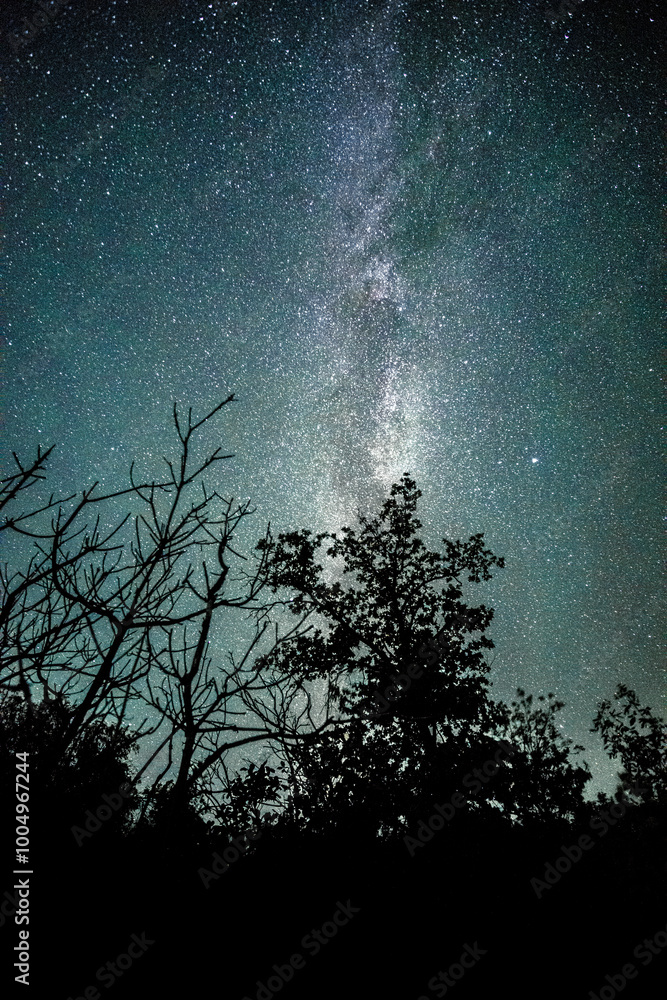 Space with galaxy . Milky way on the blue sky .Dark and cold night at summer . Trees on the backgound with stars . Power lines in the night , powerstation and galaxy Space with galaxy . Milky way on the blue sky .Dark and cold night at summer . Trees on the backgound with stars . Power lines in the night , powerstation and galaxy