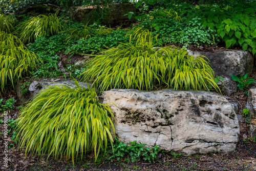 Landscape in Lyndale Peace Garden in Lyndale Park in Minneapolis photo