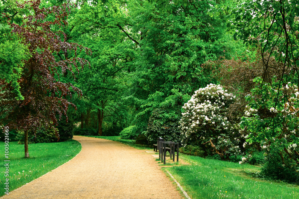 View of beautiful park with alley and green trees
