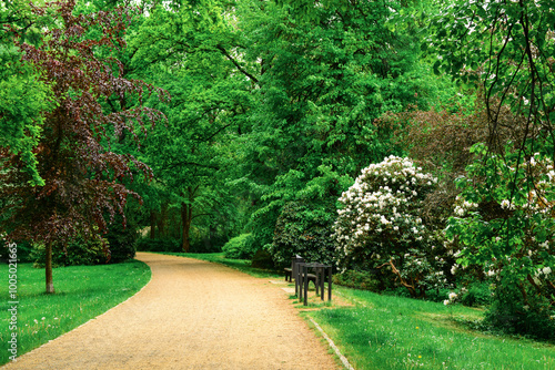 View of beautiful park with...