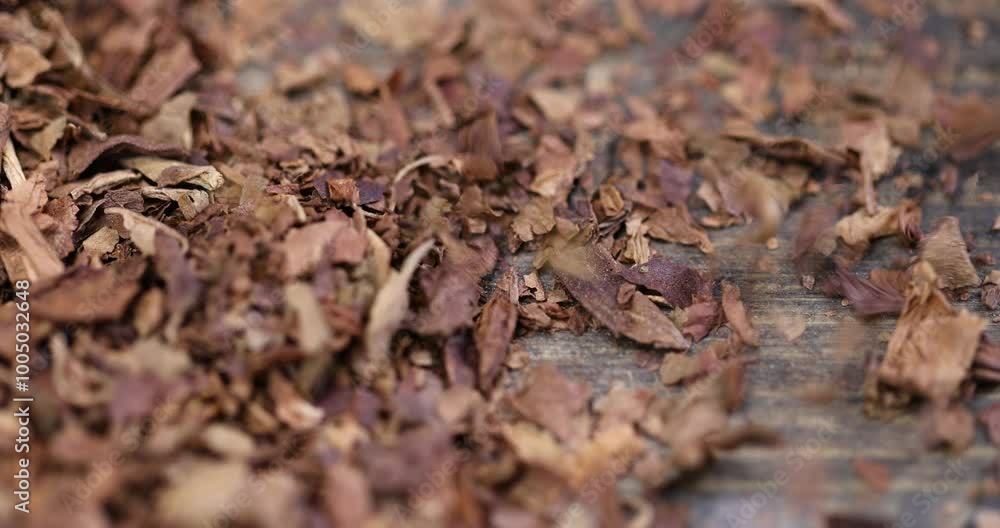 coarsely broken tobacco leaves for cigarettes, a broken and colored cigar made of high-quality tobacco leaves coarsely broken tobacco leaves for cigarettes, a broken and colored cigar made of high-quality tobacco leaves