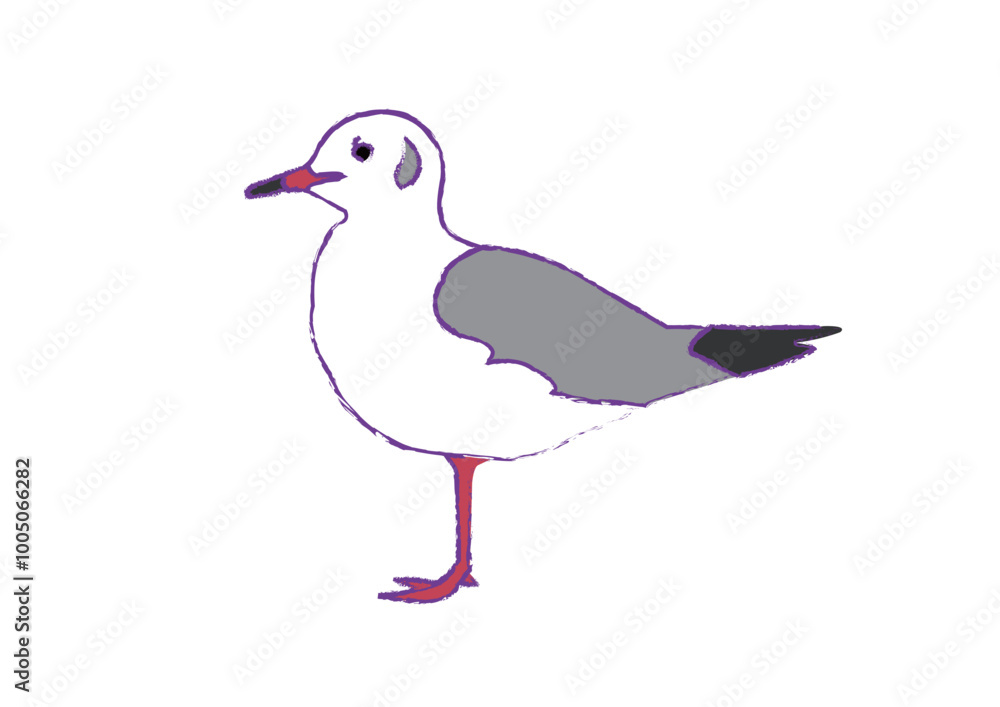 ゆりかもめのイラスト ゆりかもめのイラスト