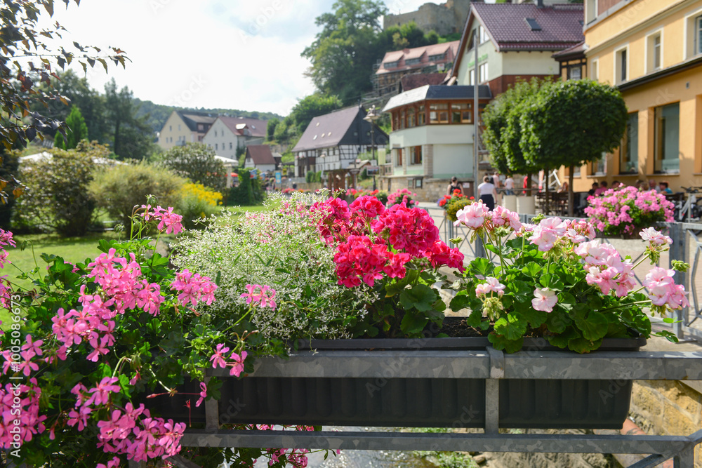Pot with beautiful flowers in village, closeup Pot with beautiful flowers in village, closeup
