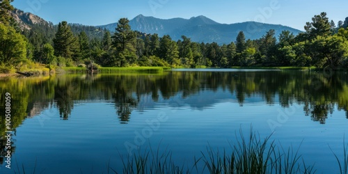 A peaceful lake with still water reflecting the surrounding trees and mountains, creating a serene and calming scene