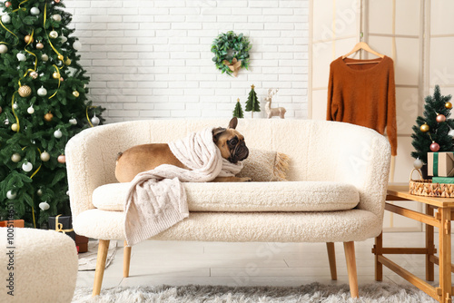 Cute dog with scarf lying a...