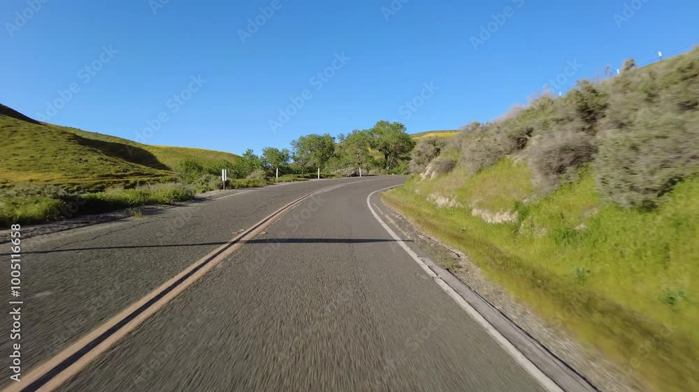 Carrizo Plain Super Bloom Highway 58 East 02 Front View Driving Plates of Wild Flowers at Sunset California USA Carrizo Plain Super Bloom Highway 58 East 02 Front View Driving Plates of Wild Flowers at Sunset California USA