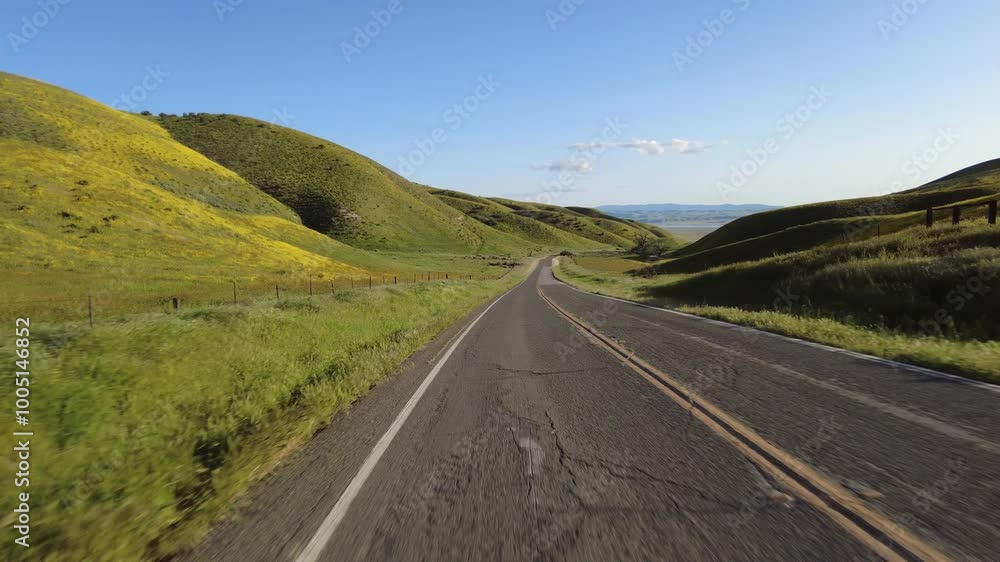 Carrizo Plain Super Bloom Highway 58 East 03 Rear View Driving Plates of Wild Flowers at Sunset California USA Carrizo Plain Super Bloom Highway 58 East 03 Rear View Driving Plates of Wild Flowers at Sunset California USA
