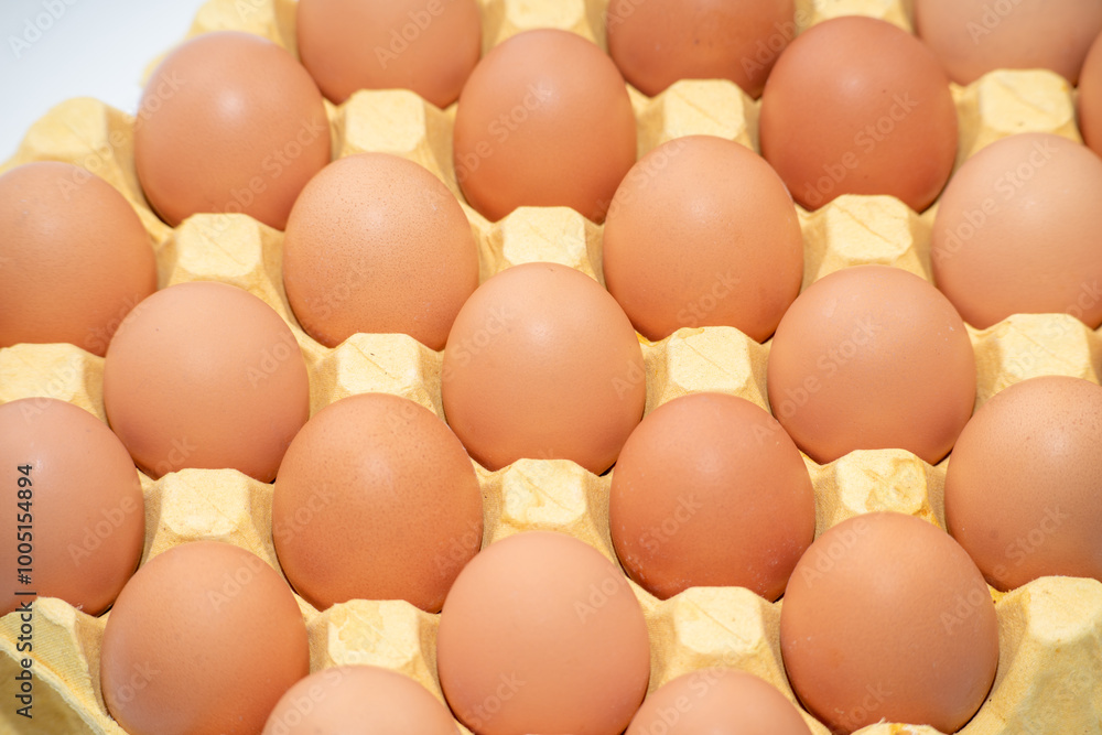 A carton of fresh free range eggs on a white background. A carton of fresh free range eggs on a white background.