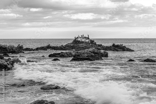 Cloudy sunset and birds on a rocky beach in Los Cabos, Baja California Sur, Mexico. photo