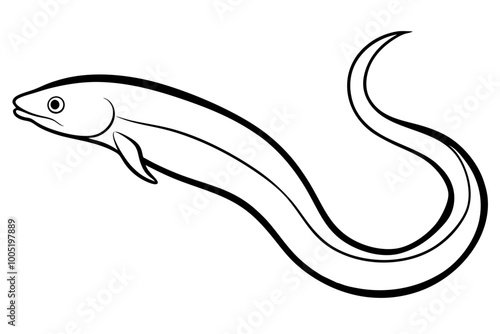 eel fish silhouette vector illustration white background