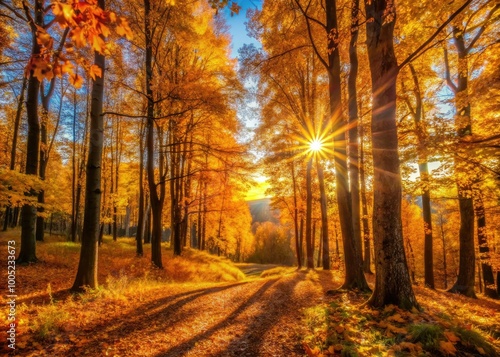 Warm sunlight filters through rustling leaves of a vibrant autumn forest, casting a golden glow on a serene natural landscape on a crisp September morning.