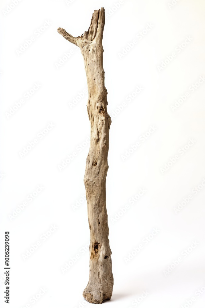 Naklejka premium Close-up of a weathered, rustic wooden stick standing upright against a white background, highlighting natural texture and pattern.