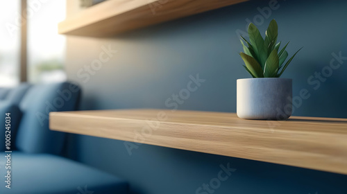 Small potted plant on wooden shelf against a blue wall in a cozy living space. photo