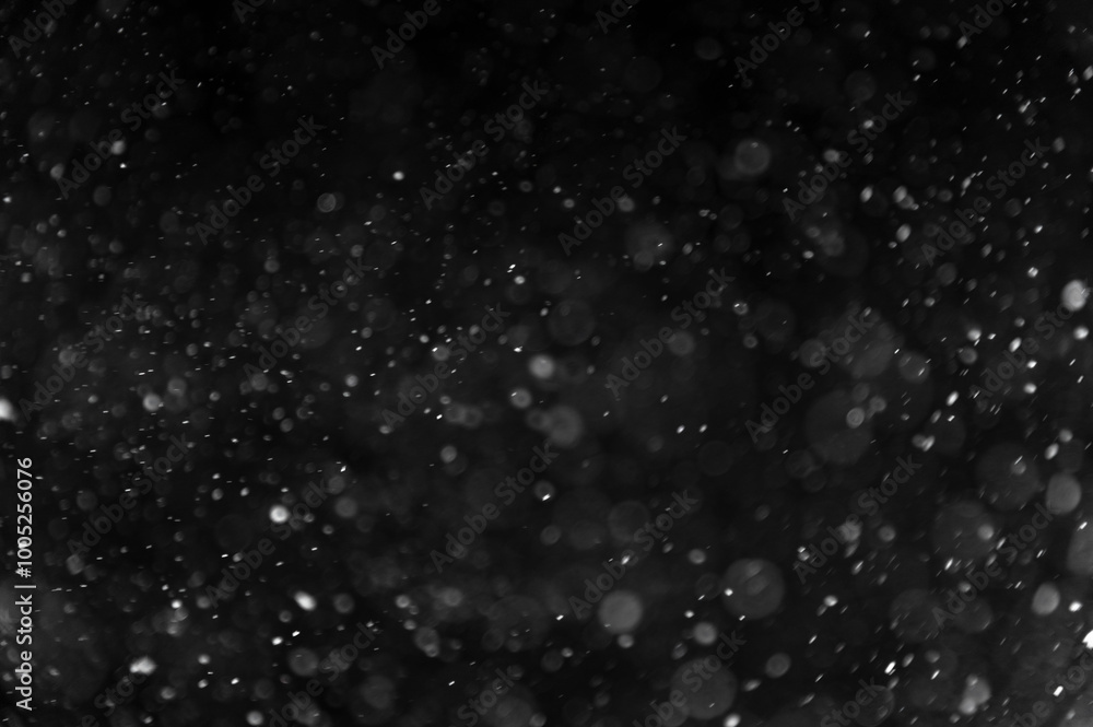 Obraz premium Falling real snowflakes, heavy snow