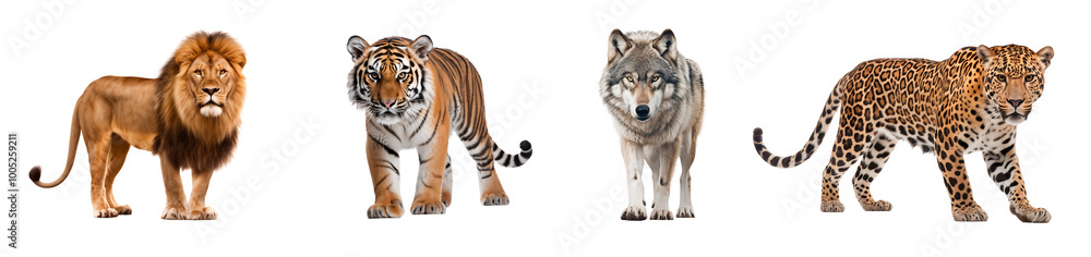 Collection of wild animals grouped together, isolated on transparent background Collection of wild animals grouped together, isolated on transparent background
