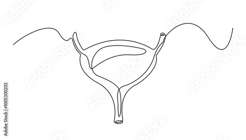 continuous line of the bladder. Single line anatomy of human body parts. Single line bladder icon isolated on white background