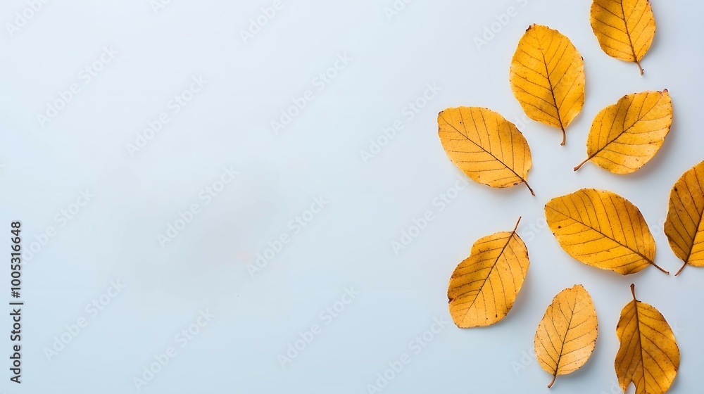 Obraz premium Vibrant yellow leaves arranged decoratively on a light background, evoking a tranquil autumn mood. Greetings and Wishes Concept