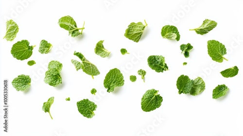 Mint Leaves Isolated on White Background Generative AI