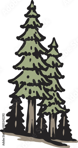 Pine trees Illustration drawing