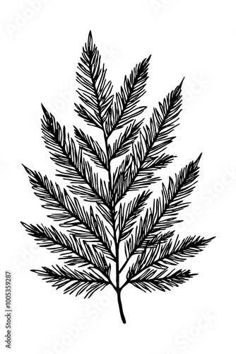 Leaves . Black and white botanical pattern. For use in graphics, materials. Abstract plant shapes. Minimalist illustration for printing on wall decorations.