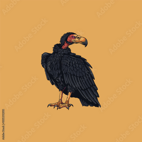 Vector illustration of a vulture