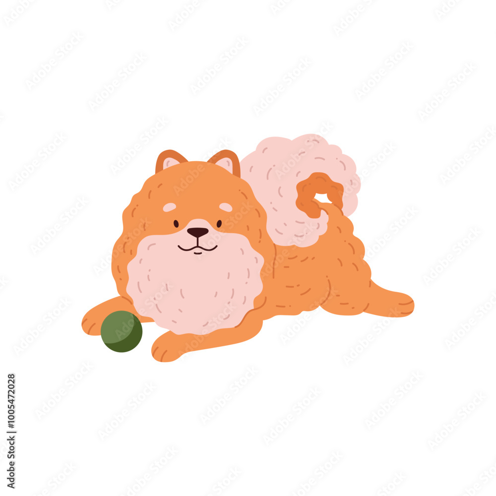 Obraz premium Vector illustration of a cute orange-colored pomeranian lying next to its toy ball