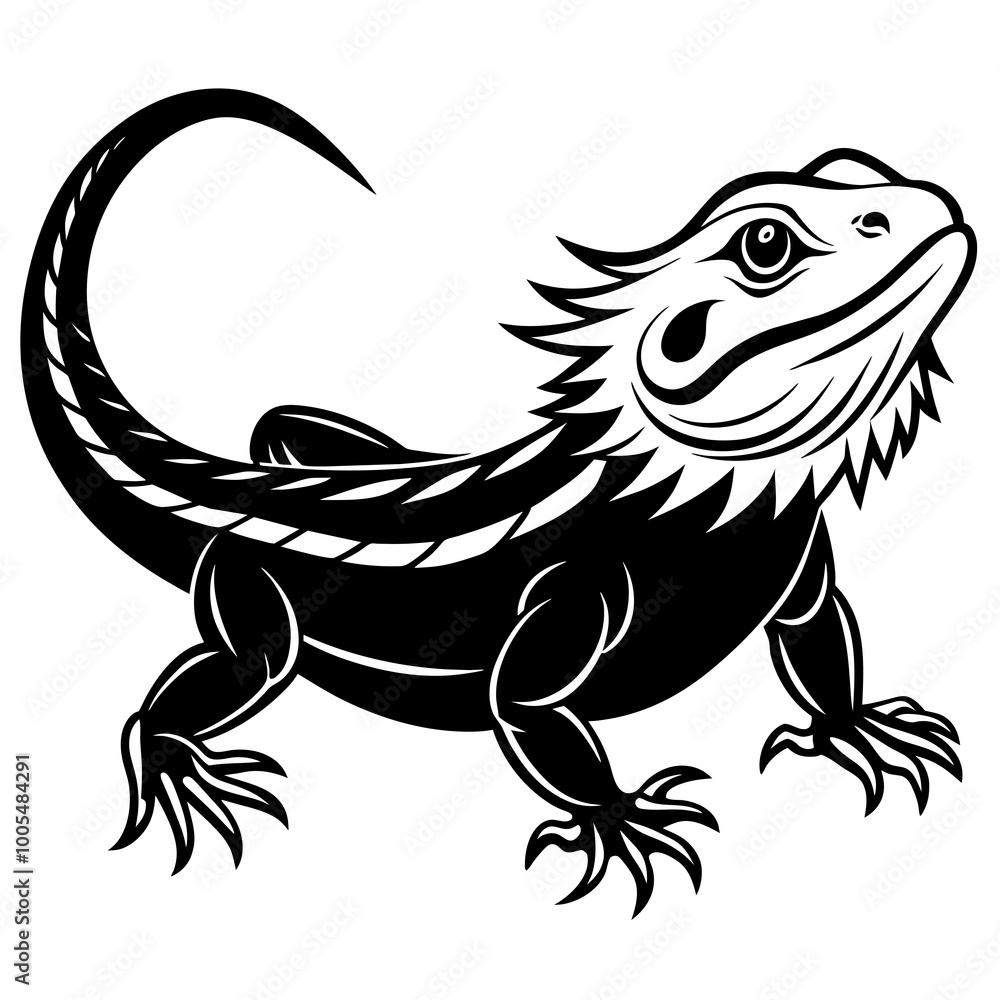illustration of a dragon illustration of a dragon