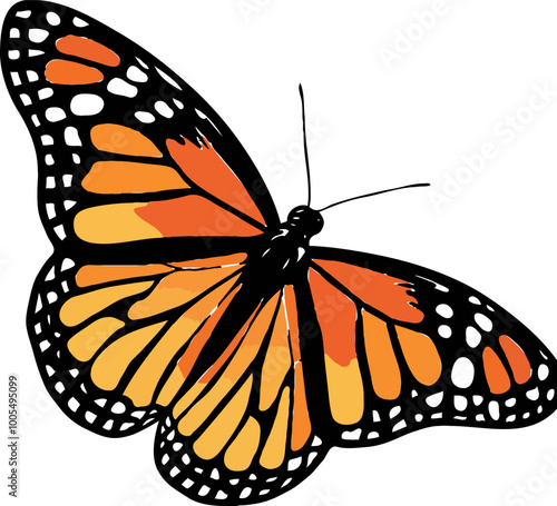 Monarch butterfly vector illustration