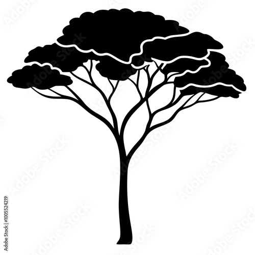 Acacia tree vector silhouette on white background