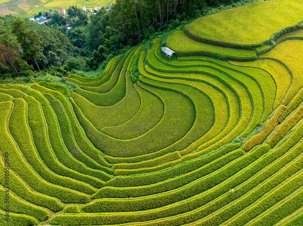 Aerial panorama view of Mu Cang Chai rice terrace, Vietnam Aerial panorama view of Mu Cang Chai rice terrace, Vietnam