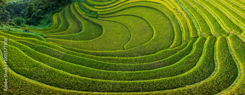 Aerial panorama view of Mu Cang Chai rice terrace, Vietnam photo