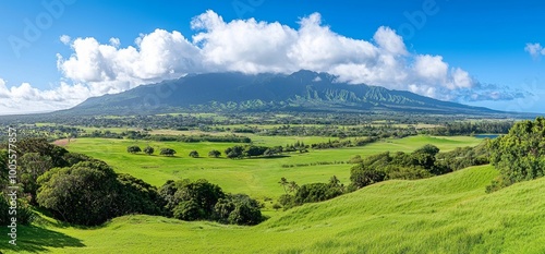 High in the mountains, a breath-taking view of wild nature in the morning