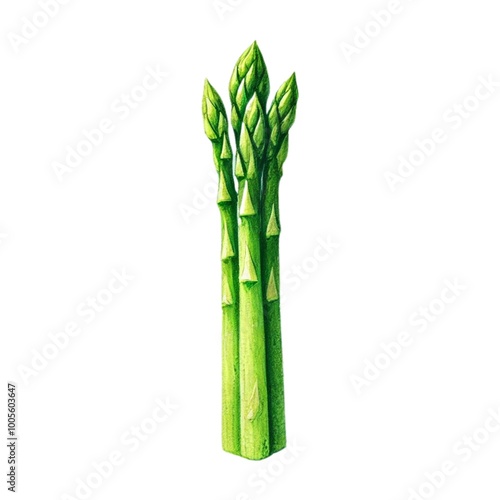 アスパラ asparagus