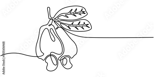 Single continuous line drawing whole healthy organic cashew apple for orchard logo identity. Fresh Brazil caju concept for fruitage garden icon, pro vector illustration.