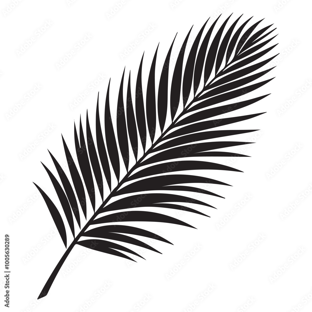 Obraz premium Leaf Silhouette Design - Plant leave vector illustration - Black Leaf Clipart 